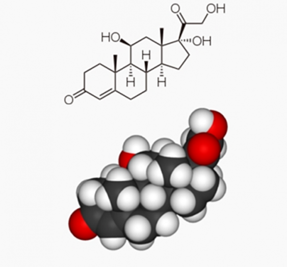 ACTH 和皮质醇